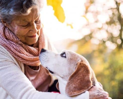 pet therapy patrizia marzola